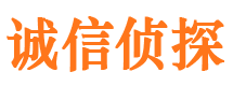 共和市侦探公司